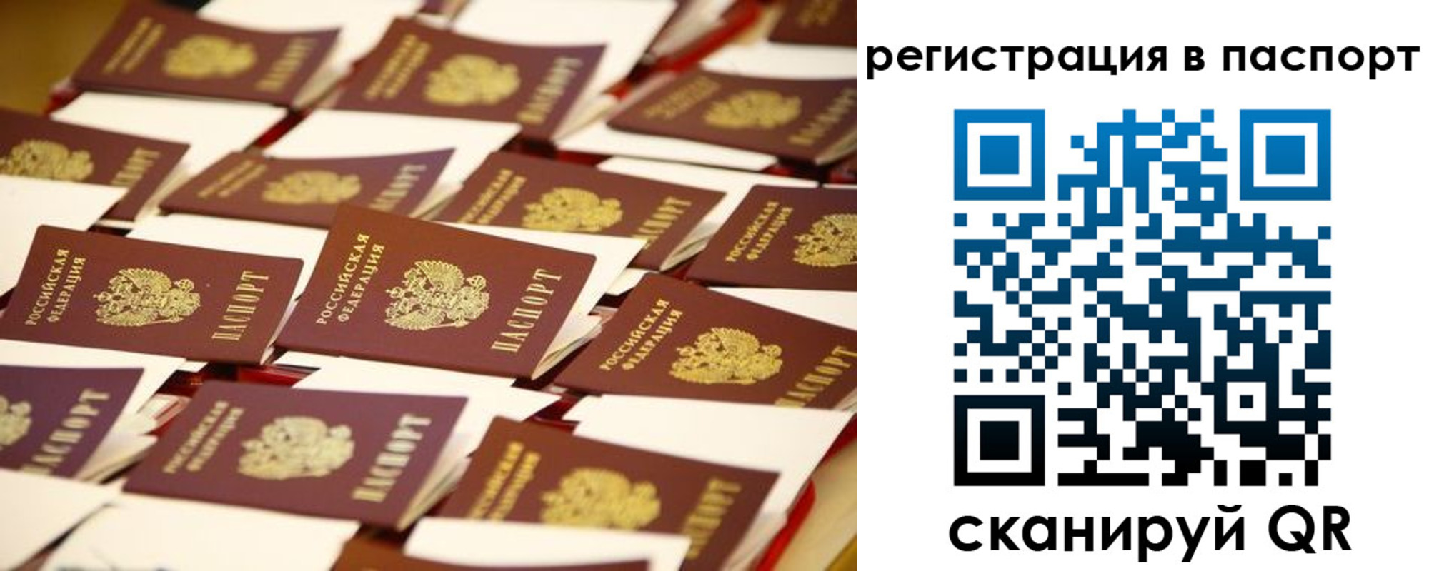 прописка гарантия в Джанкое